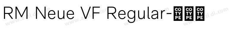 RM Neue VF Regular字体转换